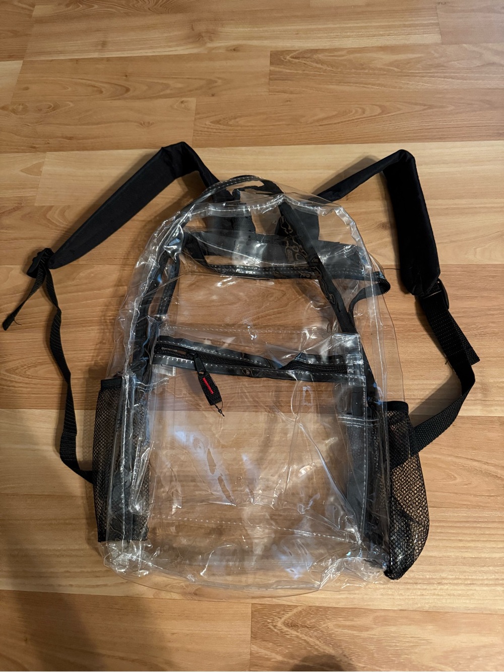 Clear PVC Backpack with Black Accents - Transparent